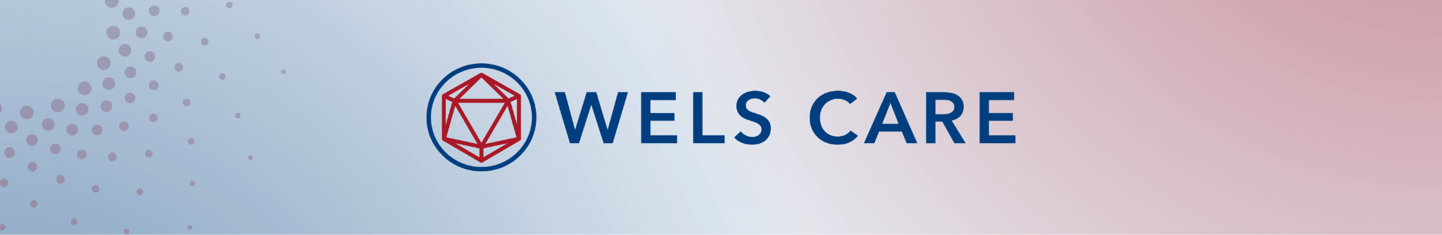 Wels Care